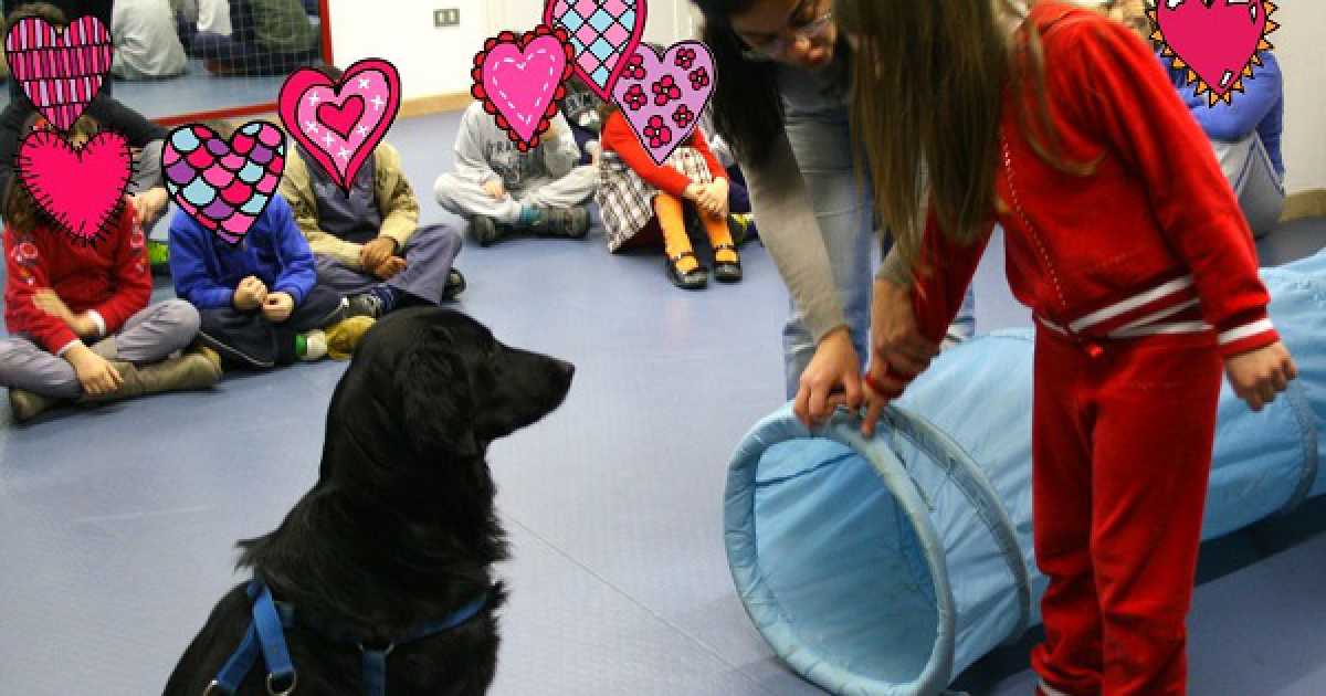 La pet therapy: cani, gatti, asini e pappagalli in aiuto di chi soffre